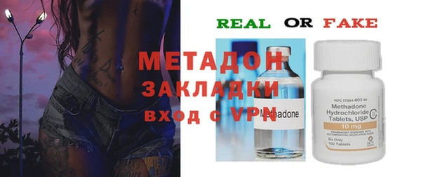 индика Арсеньев