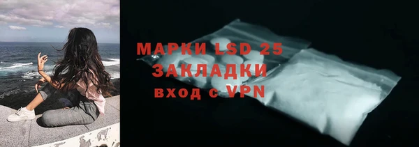 индика Арсеньев