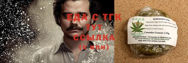 индика Арсеньев