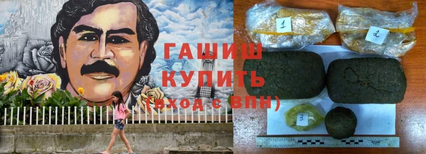 индика Арсеньев