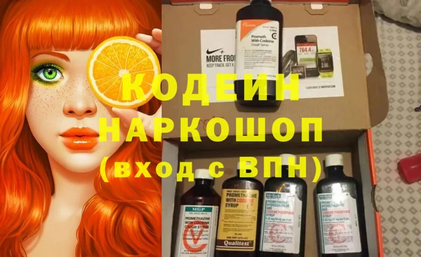 индика Арсеньев