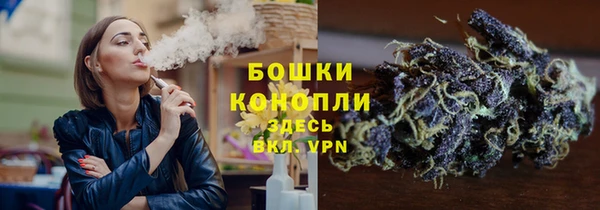 индика Арсеньев