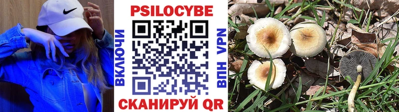 Псилоцибиновые грибы Cubensis  дарнет шоп  Татарск 